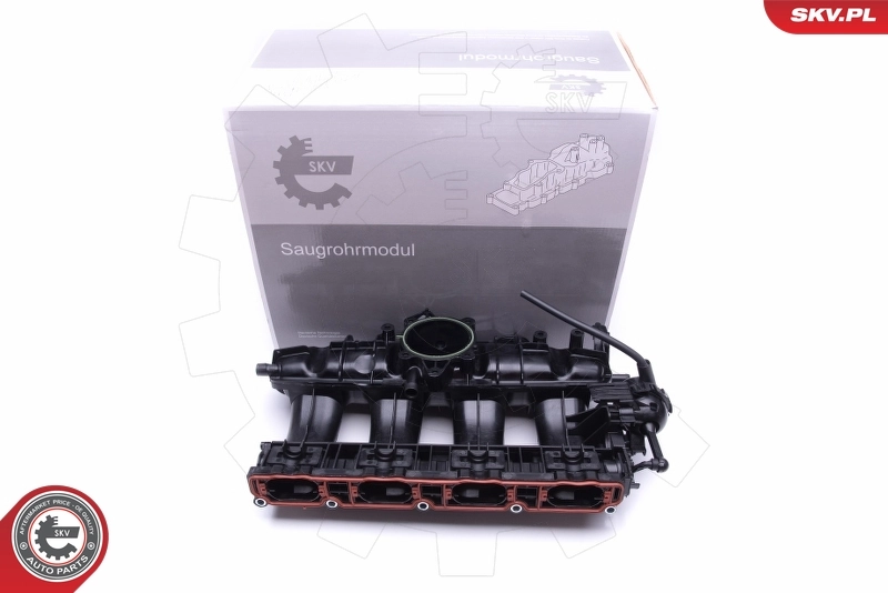 Intake Manifold Module